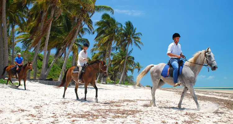 Horses-1