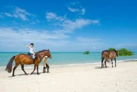 horse riding