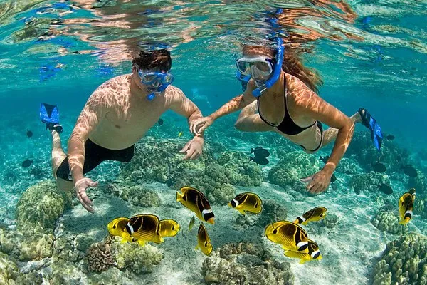 ocean-safari-zanzibar-8-1