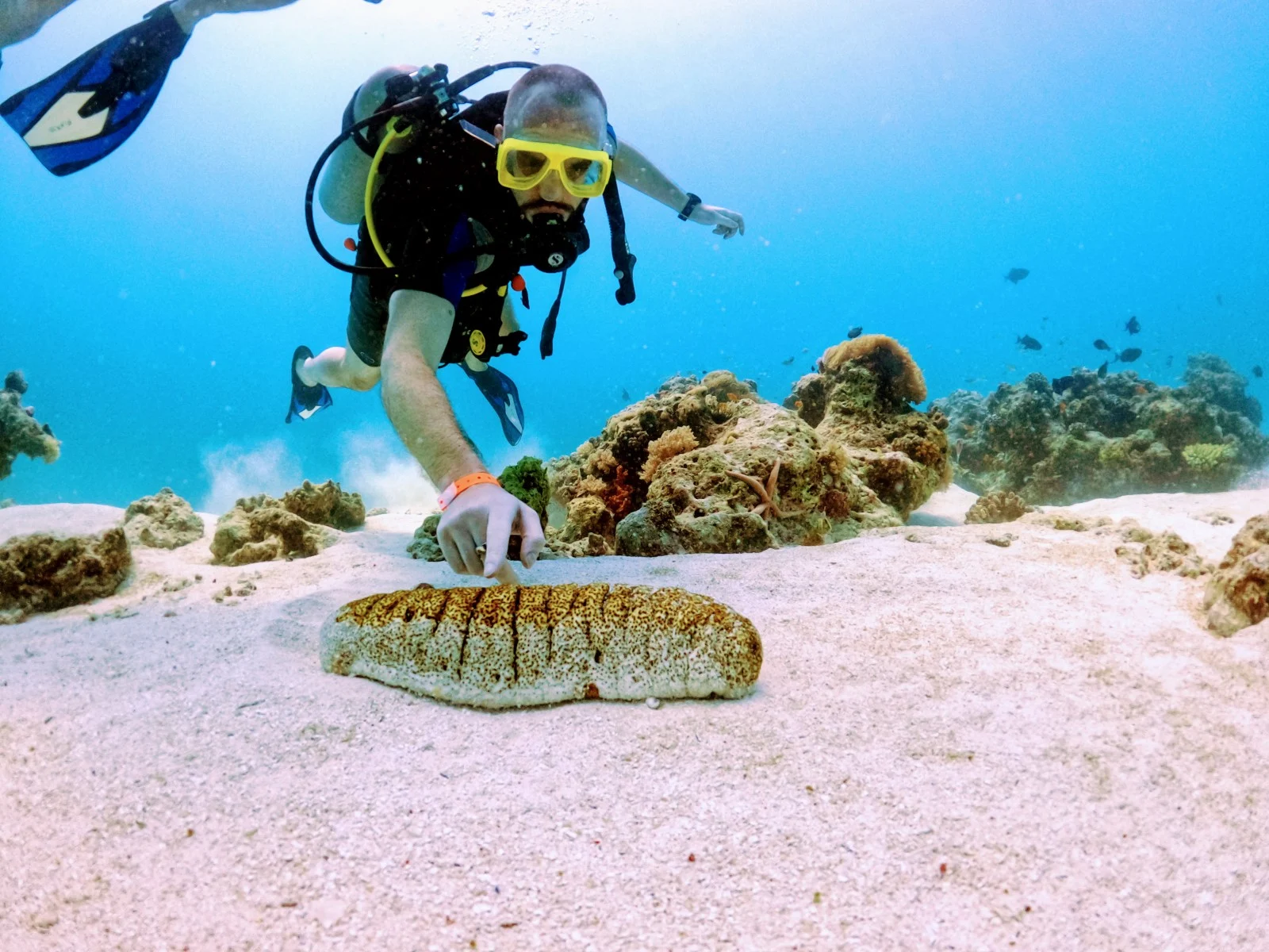 scuba diving 7