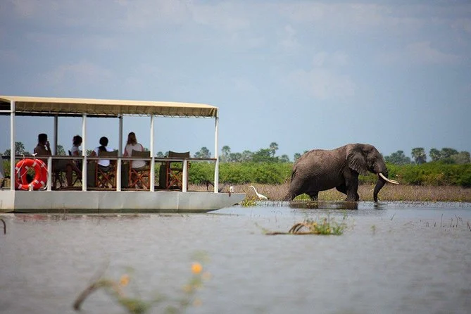 selous game reserve