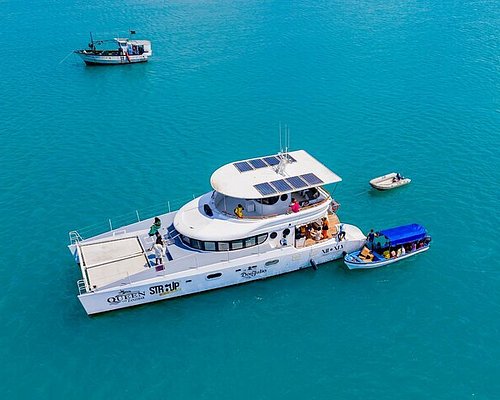 yatch
